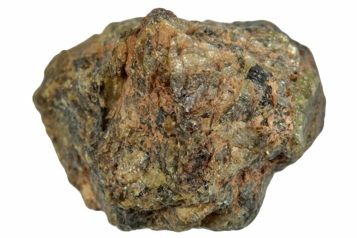 Chondrite Meteorite Fragment ( g) - NWA #281084